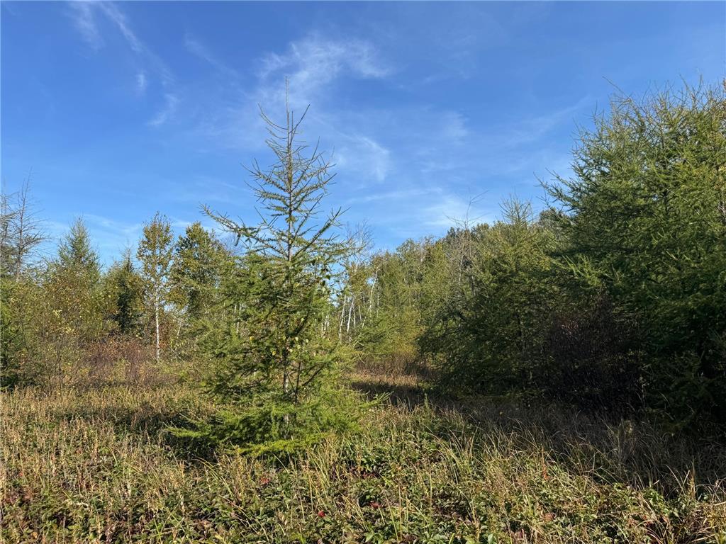 TBD 460th Lane Palisade MN 56469 6800874 image31