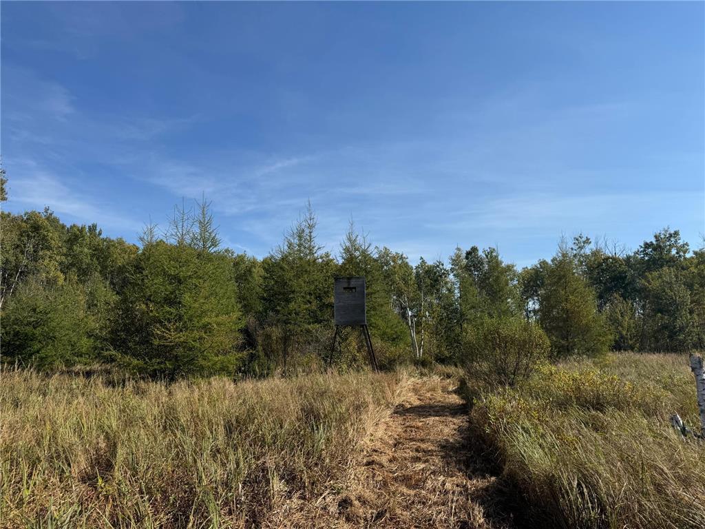 TBD 460th Lane Palisade MN 56469 6800874 image32