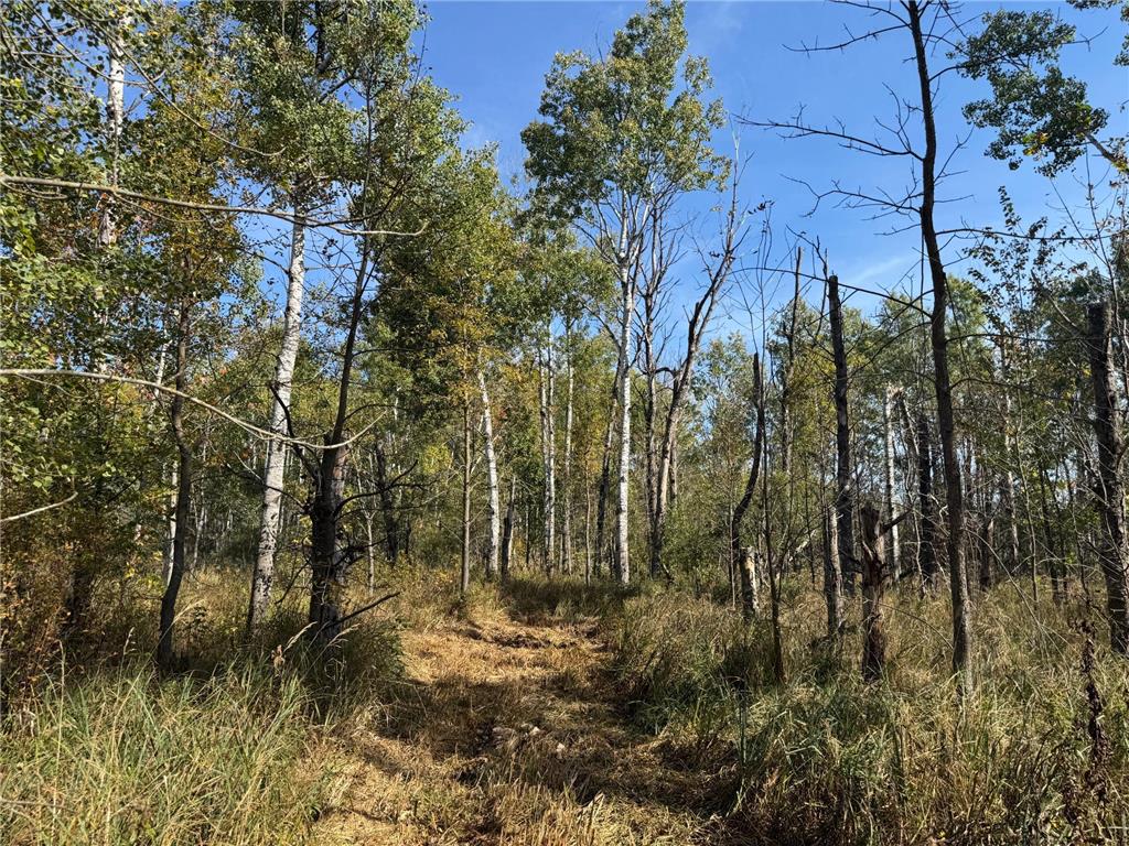 TBD 460th Lane Palisade MN 56469 6800874 image33