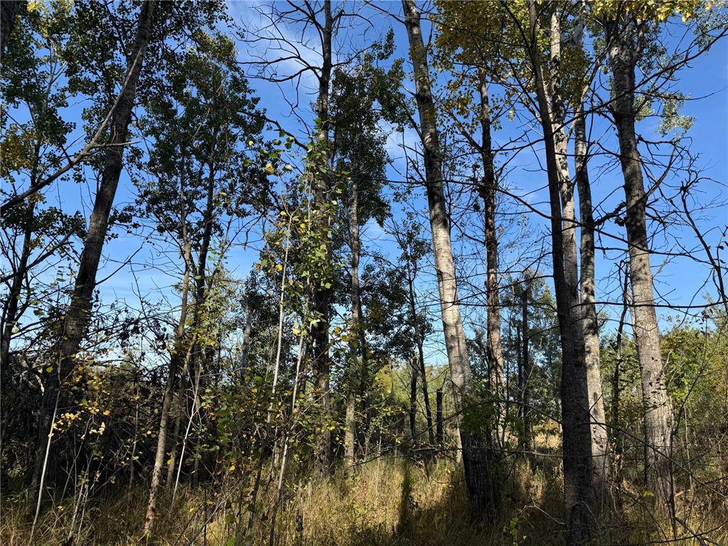 TBD 460th Lane Palisade MN 56469 6800874 image34