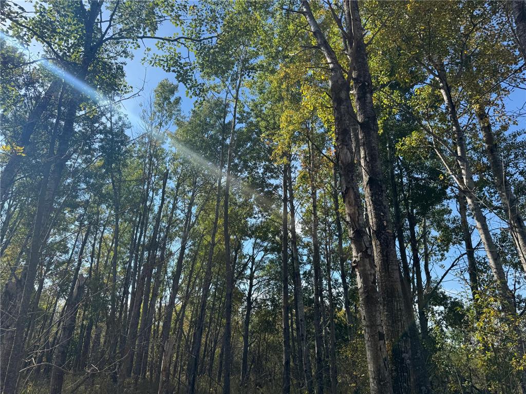 TBD 460th Lane Palisade MN 56469 6800874 image35