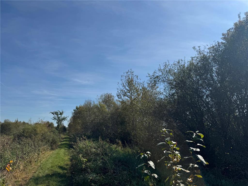 TBD 460th Lane Palisade MN 56469 6800874 image36