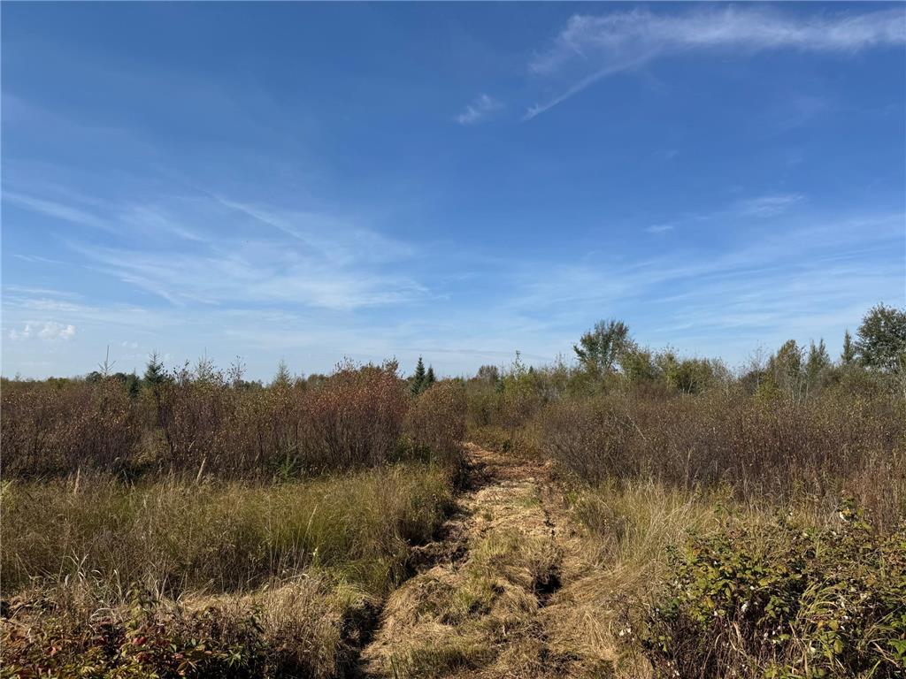 TBD 460th Lane Palisade MN 56469 6800874 image4