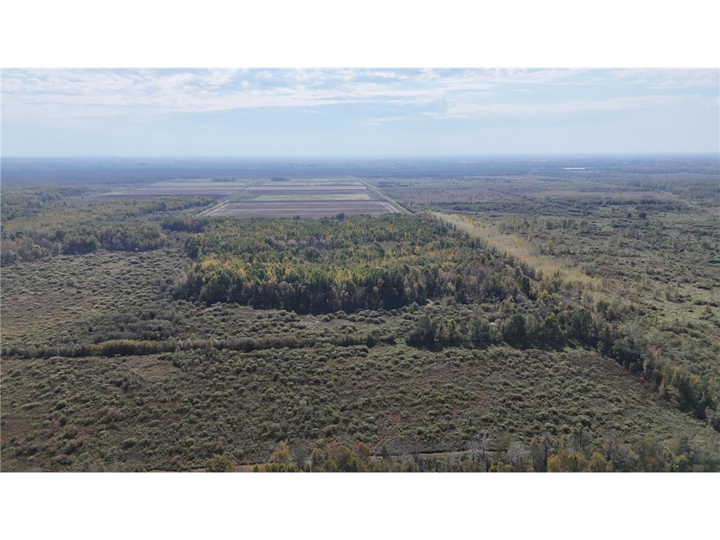 TBD 460th Lane Palisade MN 56469 6800874 image40