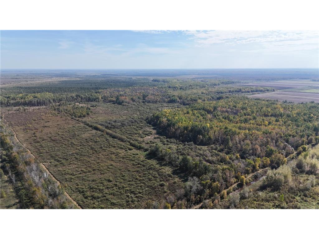 TBD 460th Lane Palisade MN 56469 6800874 image41