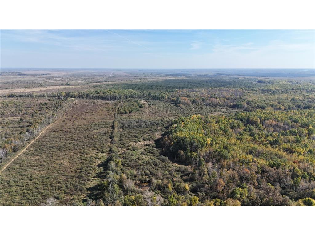 TBD 460th Lane Palisade MN 56469 6800874 image42