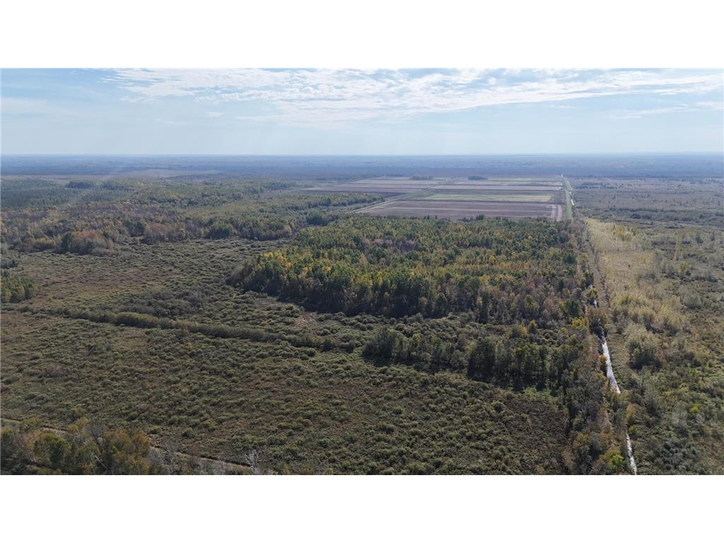 TBD 460th Lane Palisade MN 56469 6800874 image43