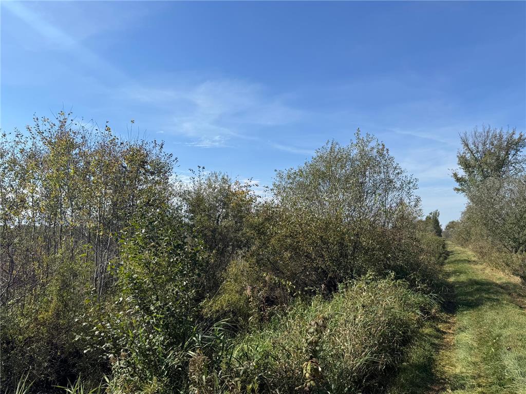 TBD 460th Lane Palisade MN 56469 6800874 image5