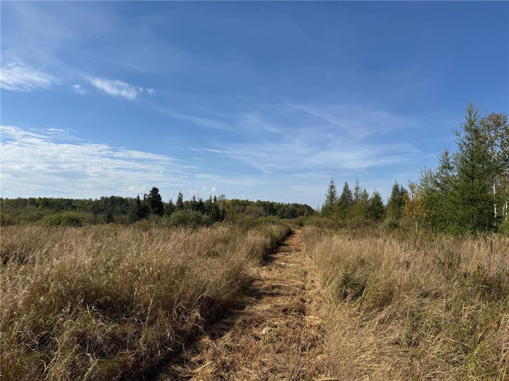 TBD 460th Lane Palisade MN 56469 6800874 image6