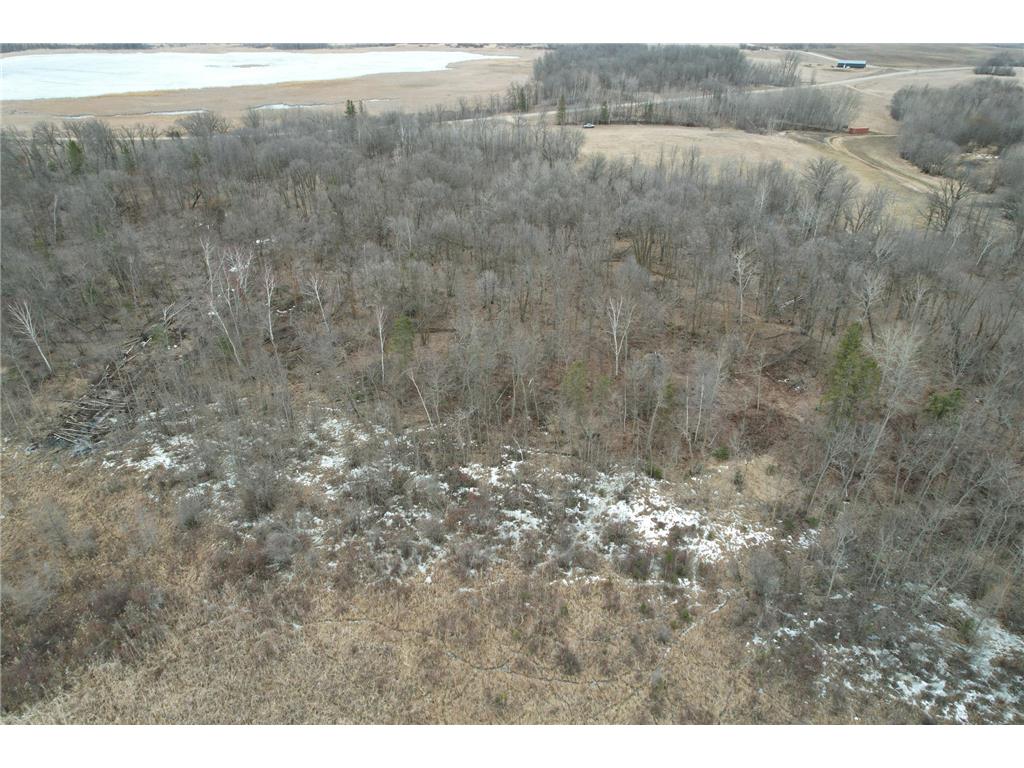 TBD 460th Street Gonvick MN 56644 - Pine 7047750 image10