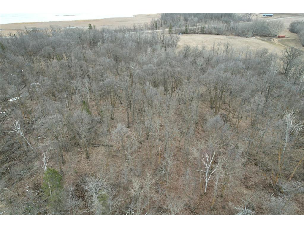 TBD 460th Street Gonvick MN 56644 - Pine 7047750 image11