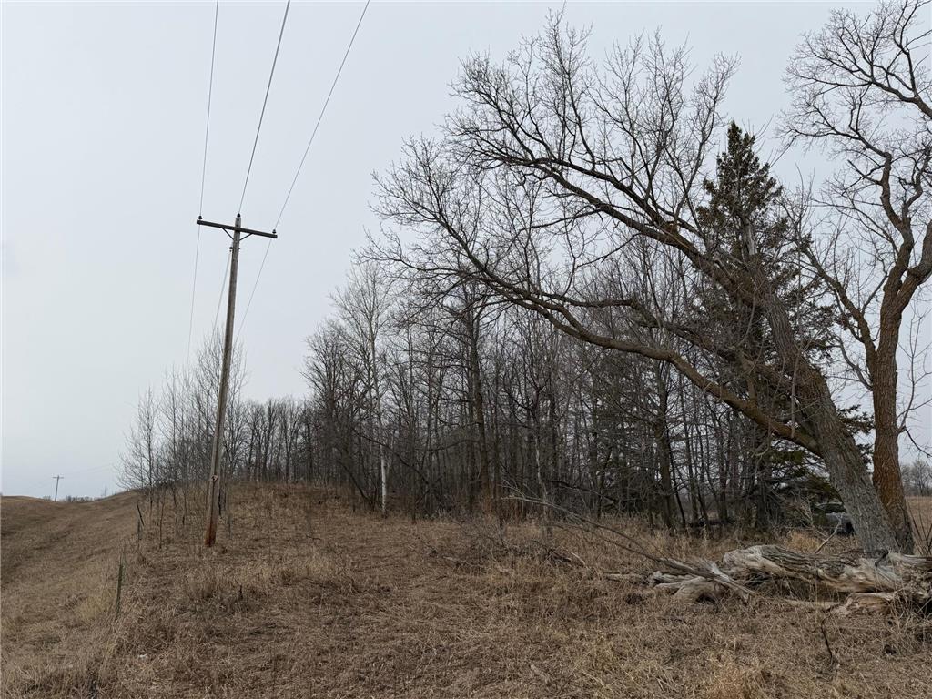 TBD 460th Street Gonvick MN 56644 - Pine 7047750 image20