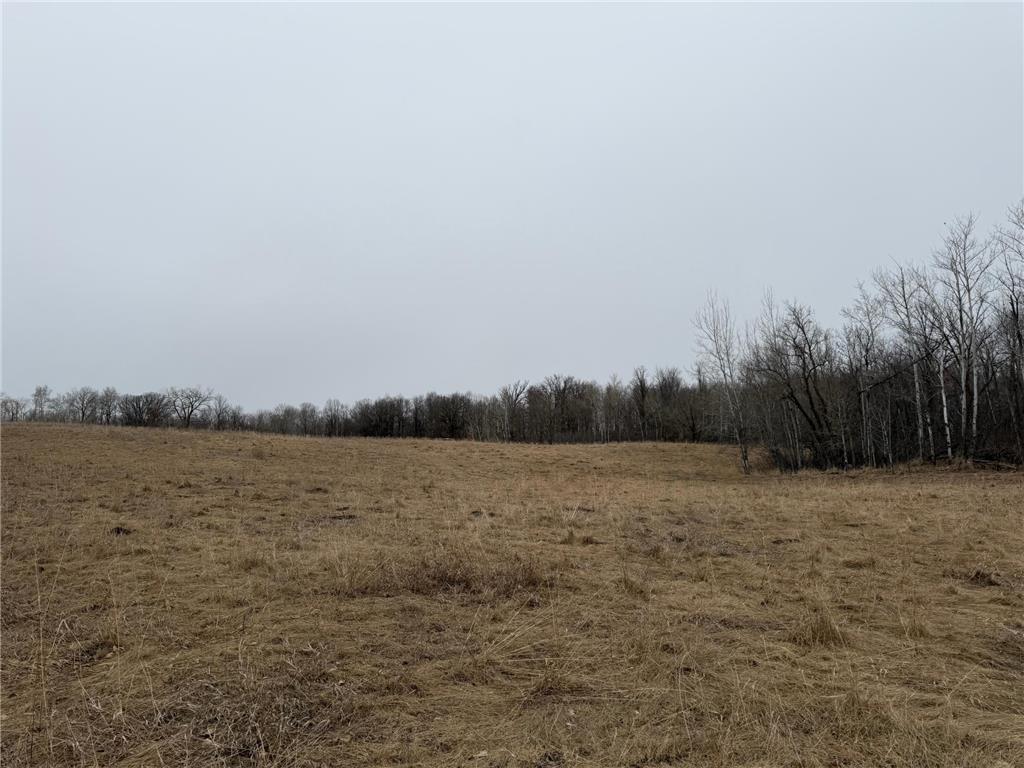 TBD 460th Street Gonvick MN 56644 - Pine 7047750 image21