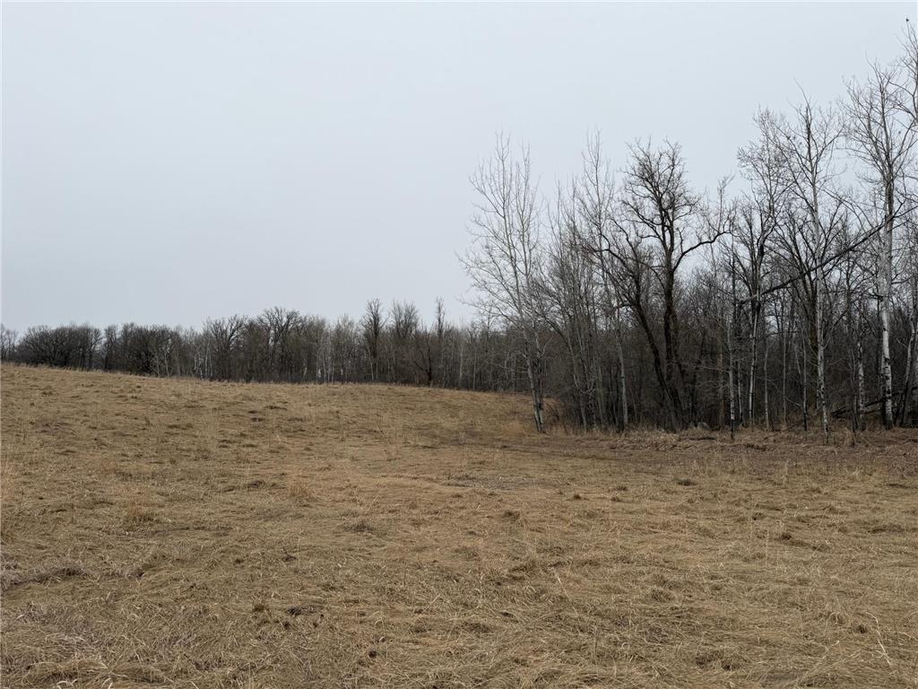 TBD 460th Street Gonvick MN 56644 - Pine 7047750 image22