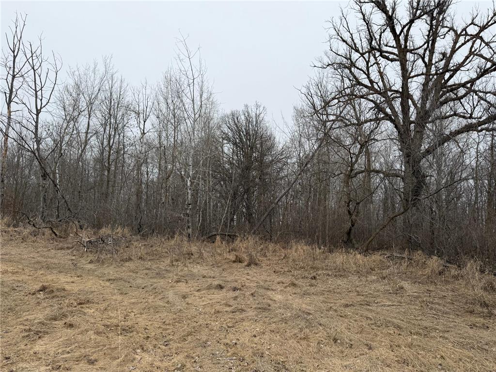 TBD 460th Street Gonvick MN 56644 - Pine 7047750 image24