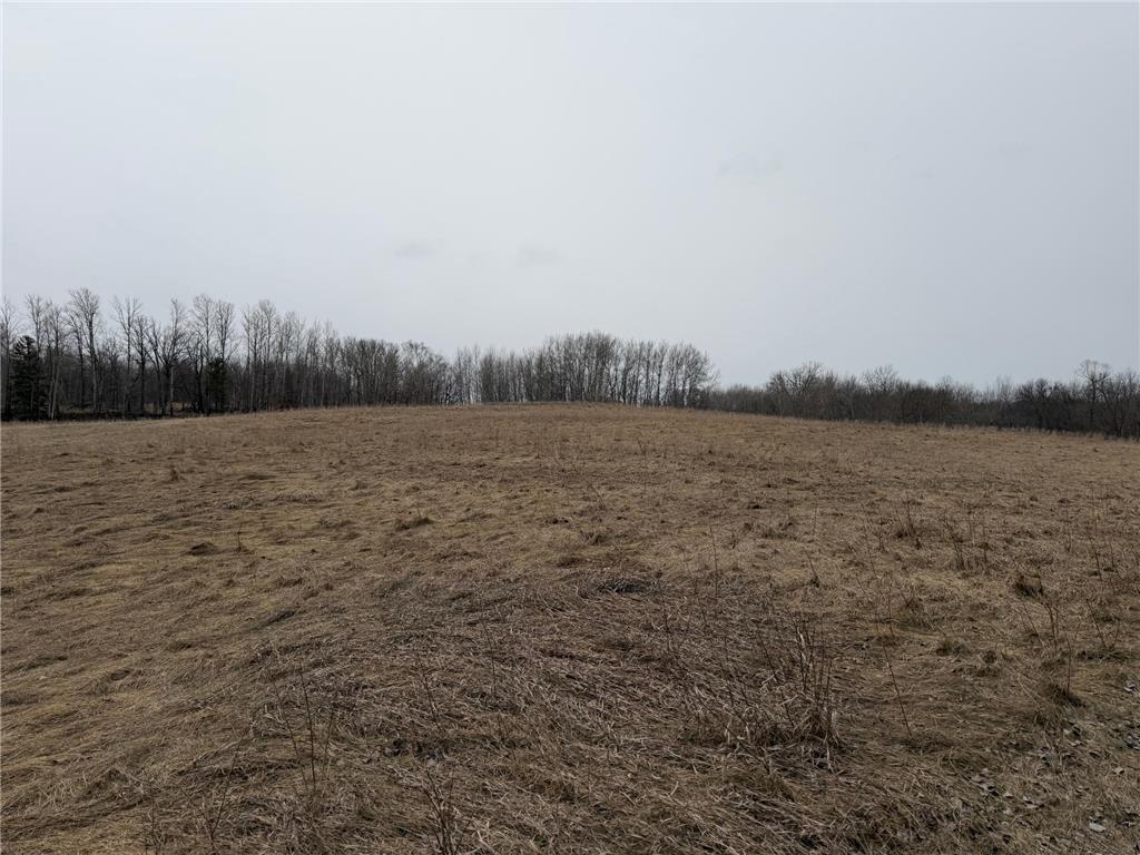 TBD 460th Street Gonvick MN 56644 - Pine 7047750 image25