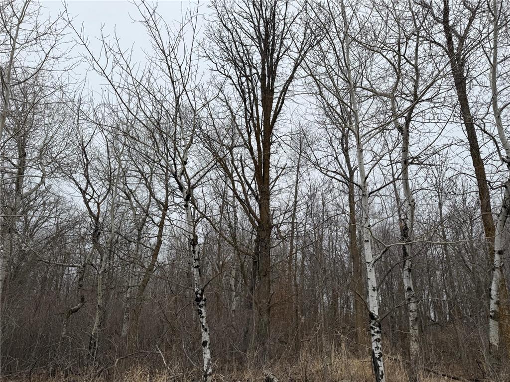 TBD 460th Street Gonvick MN 56644 - Pine 7047750 image26