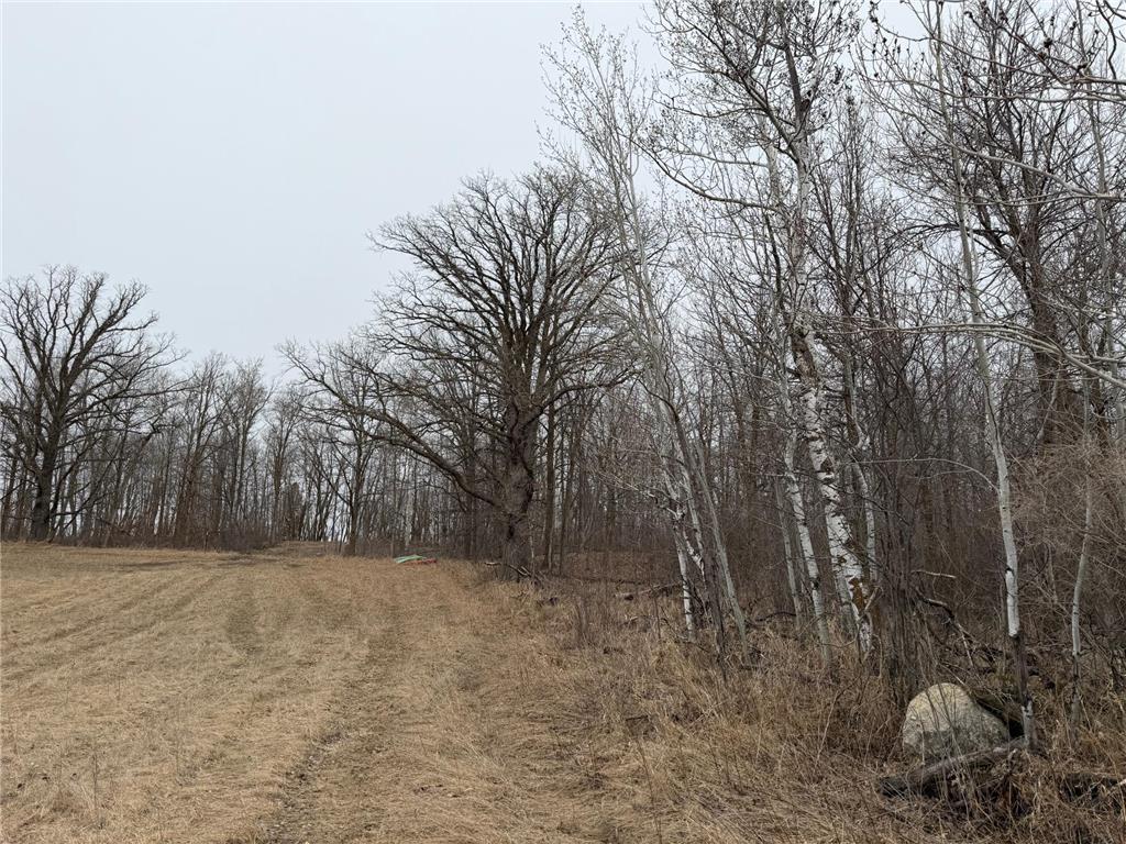 TBD 460th Street Gonvick MN 56644 - Pine 7047750 image27
