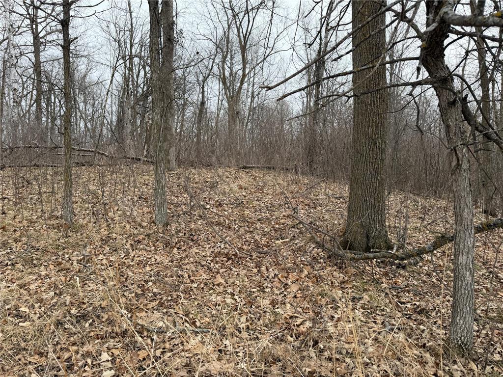 TBD 460th Street Gonvick MN 56644 - Pine 7047750 image29