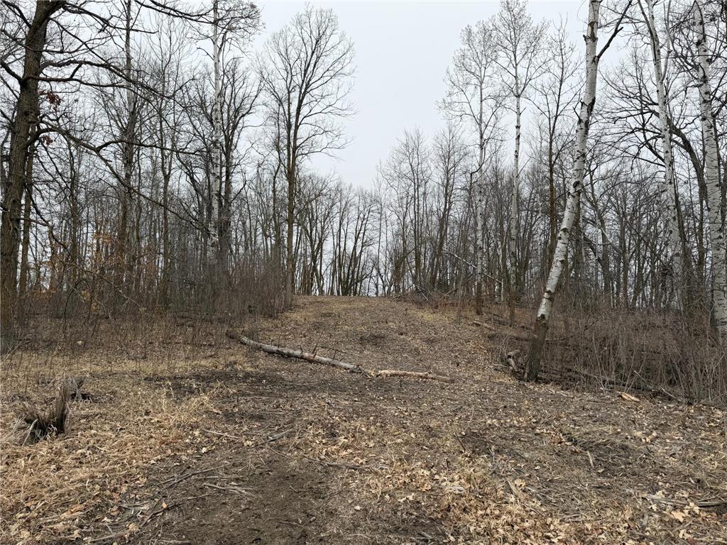 TBD 460th Street Gonvick MN 56644 - Pine 7047750 image30