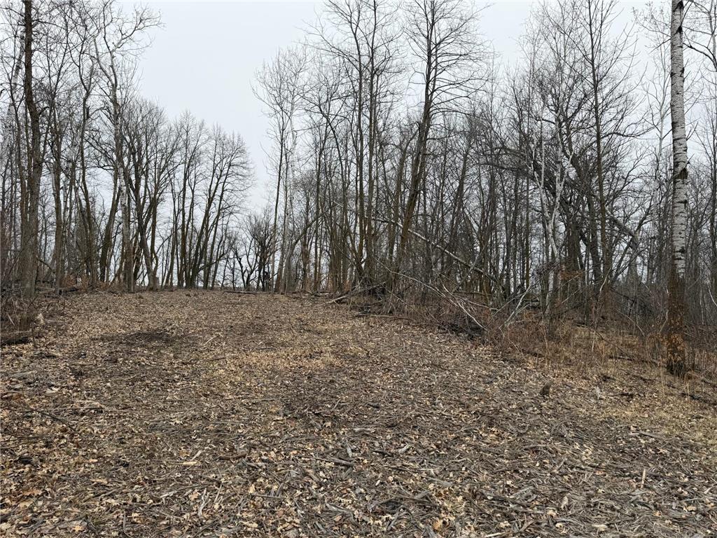 TBD 460th Street Gonvick MN 56644 - Pine 7047750 image31