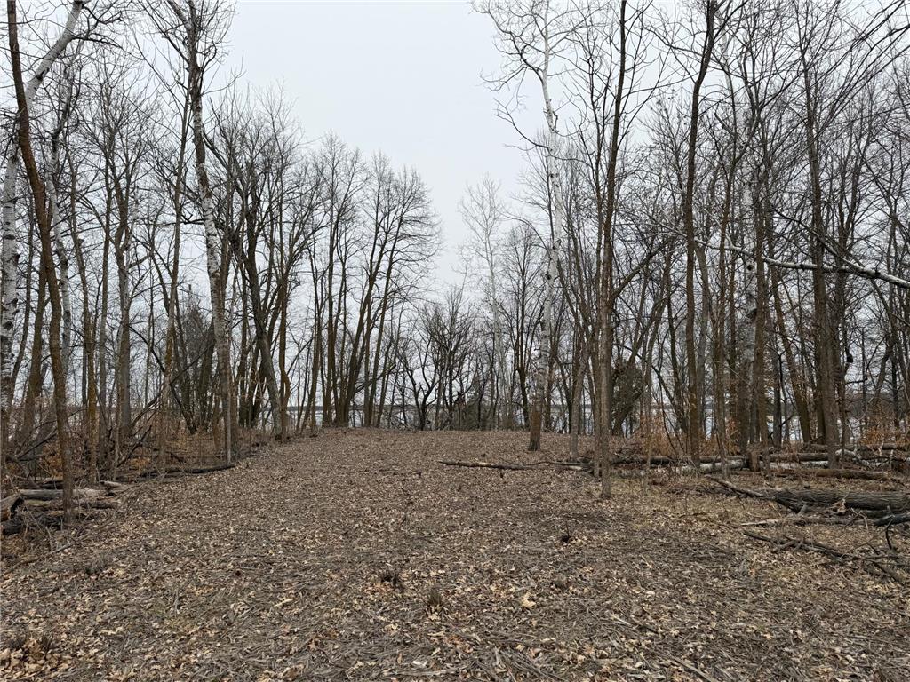 TBD 460th Street Gonvick MN 56644 - Pine 7047750 image32