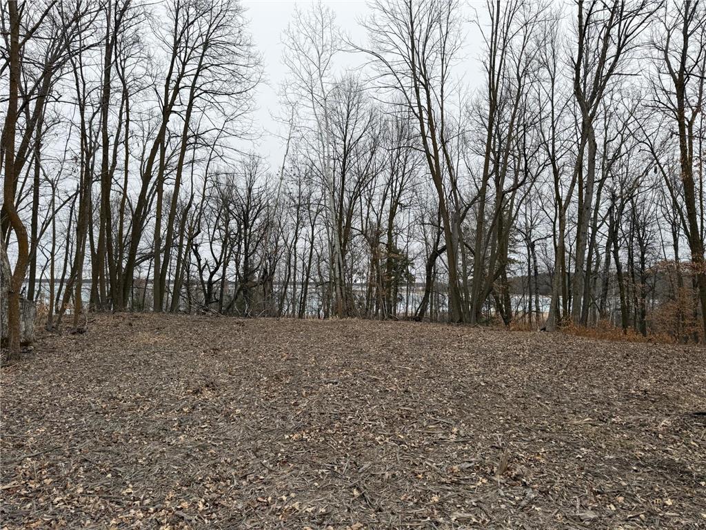 TBD 460th Street Gonvick MN 56644 - Pine 7047750 image33