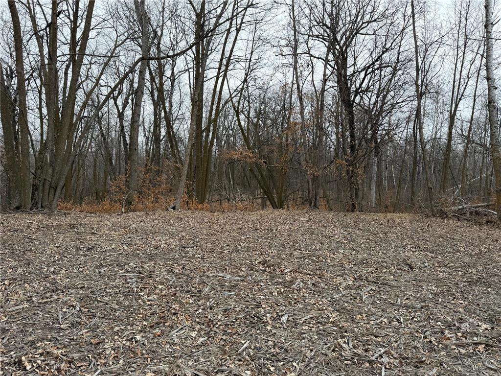 TBD 460th Street Gonvick MN 56644 - Pine 7047750 image34
