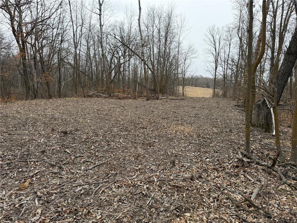 TBD 460th Street Gonvick MN 56644 - Pine 7047750 image35