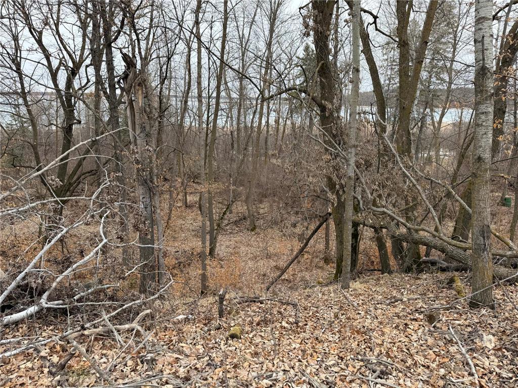 TBD 460th Street Gonvick MN 56644 - Pine 7047750 image36