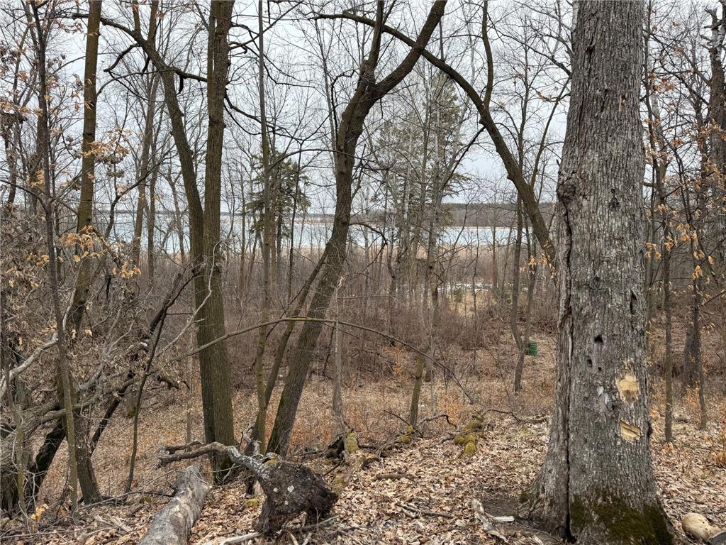 TBD 460th Street Gonvick MN 56644 - Pine 7047750 image37