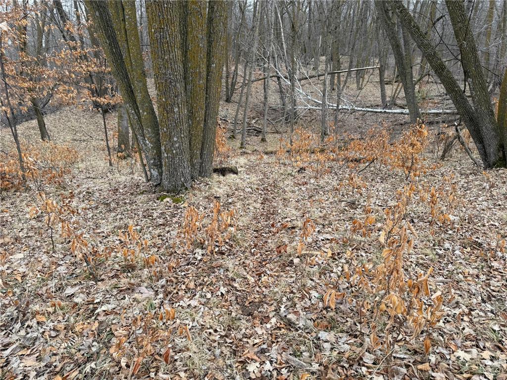 TBD 460th Street Gonvick MN 56644 - Pine 7047750 image38