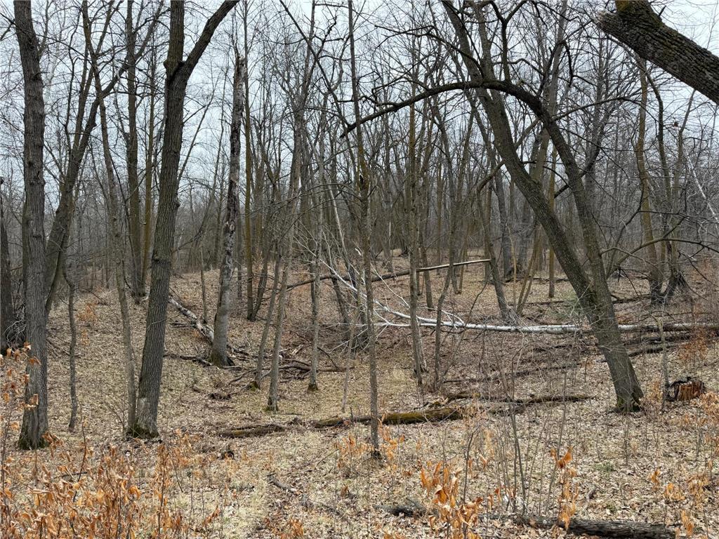 TBD 460th Street Gonvick MN 56644 - Pine 7047750 image39