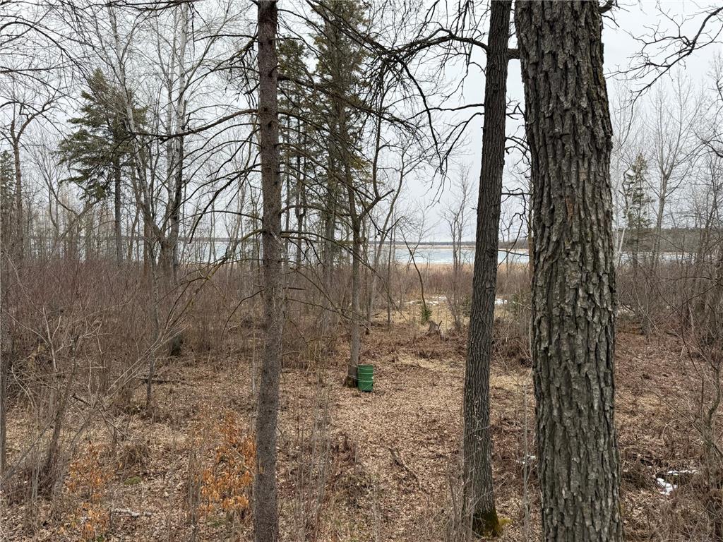 TBD 460th Street Gonvick MN 56644 - Pine 7047750 image40