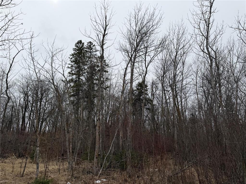 TBD 460th Street Gonvick MN 56644 - Pine 7047750 image43