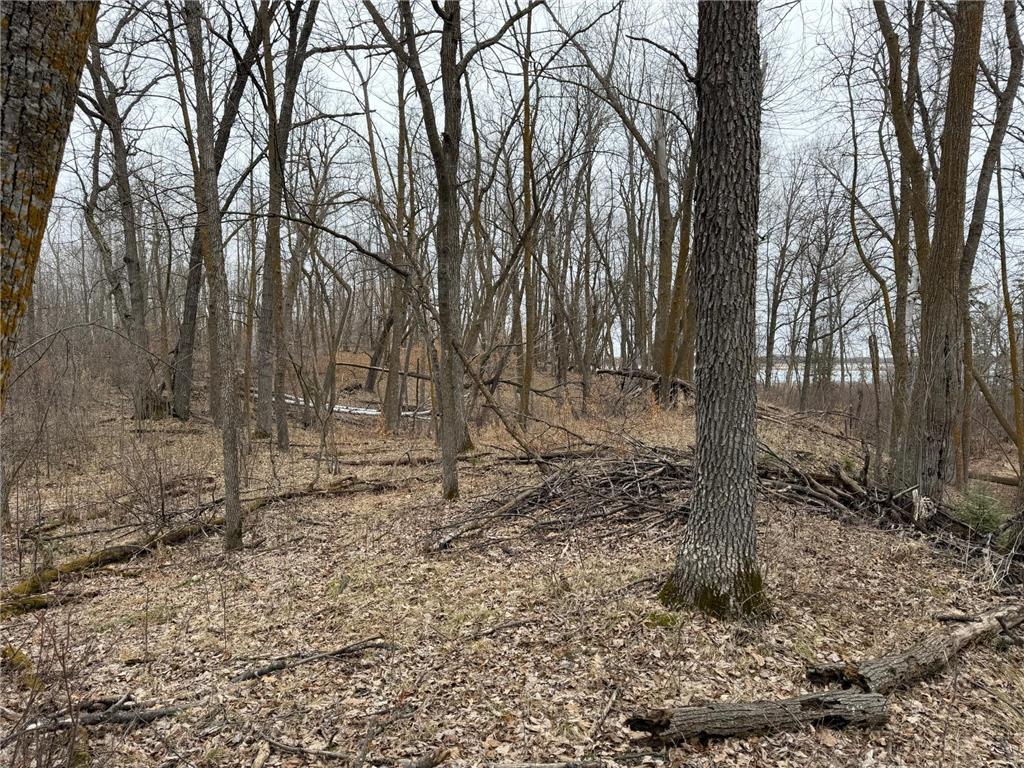 TBD 460th Street Gonvick MN 56644 - Pine 7047750 image49