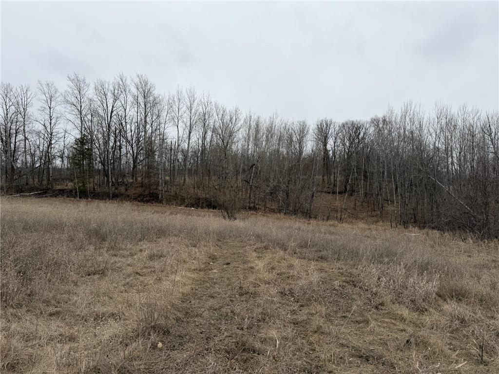 TBD 460th Street Gonvick MN 56644 - Pine 7047750 image53