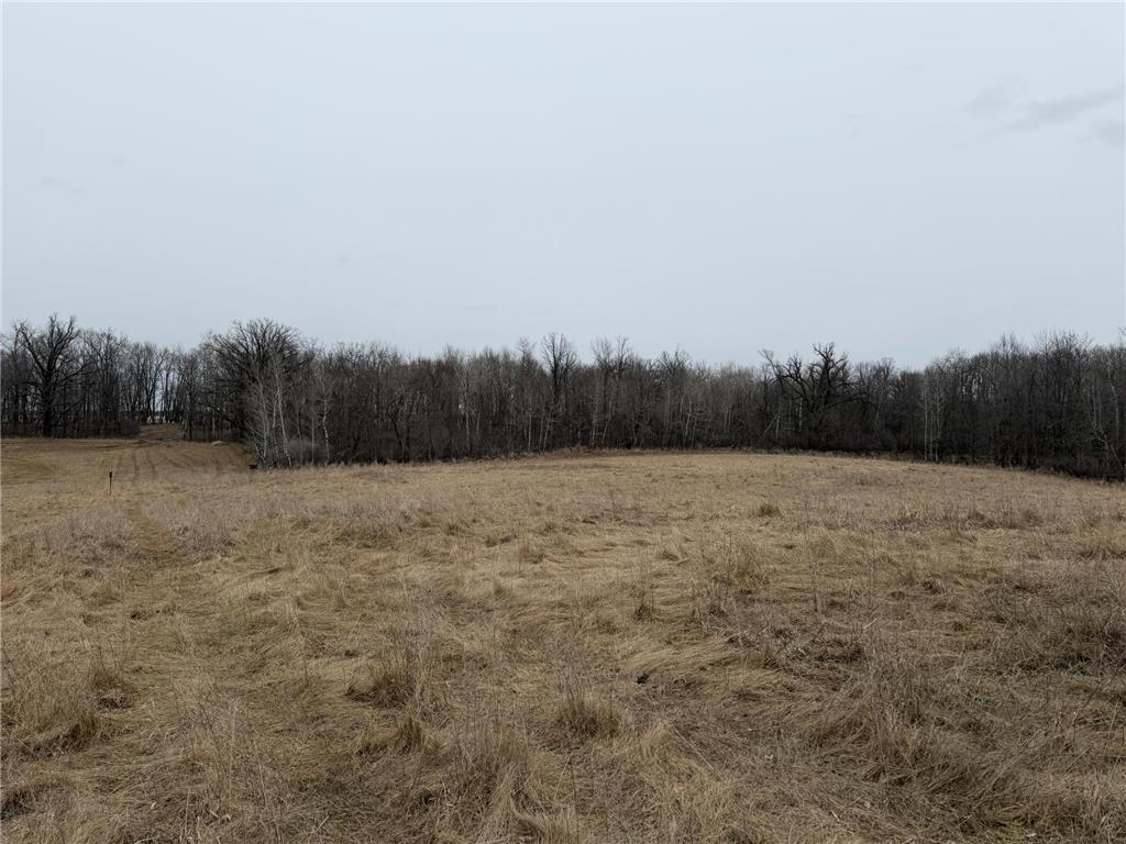 TBD 460th Street Gonvick MN 56644 - Pine 7047750 image54
