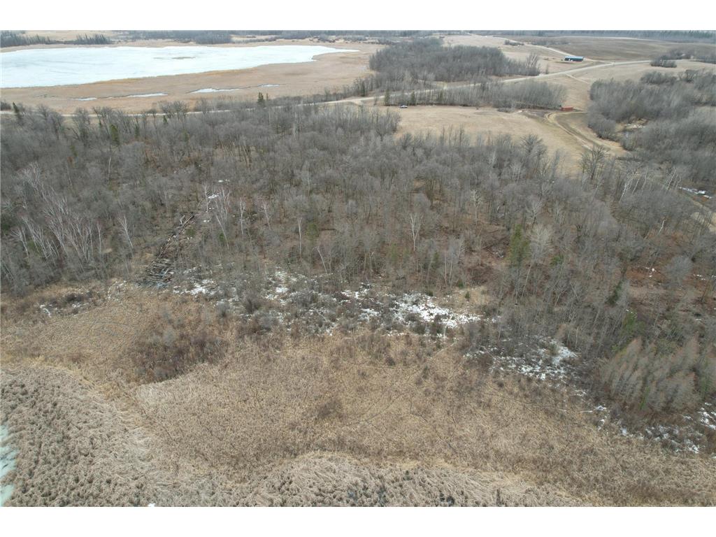 TBD 460th Street Gonvick MN 56644 - Pine 7047750 image9
