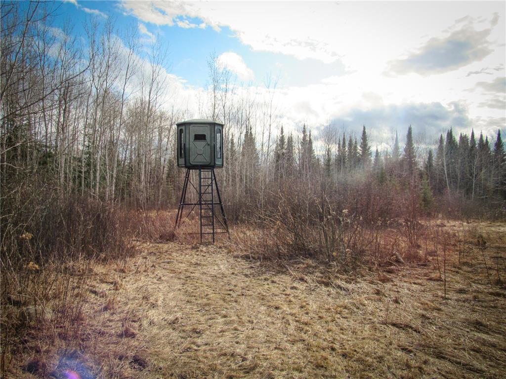 TBD 460th and 317th Avenue Cass Lake MN 56633 6365286 image1