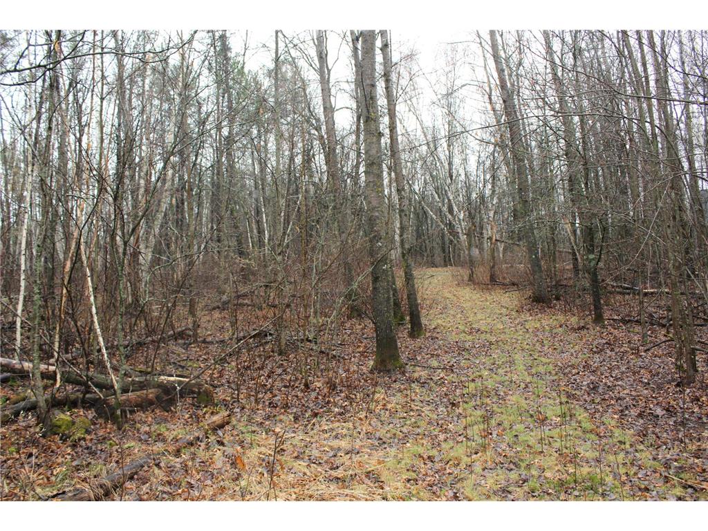 TBD 470th Street Staples MN 56479 7062379 image2