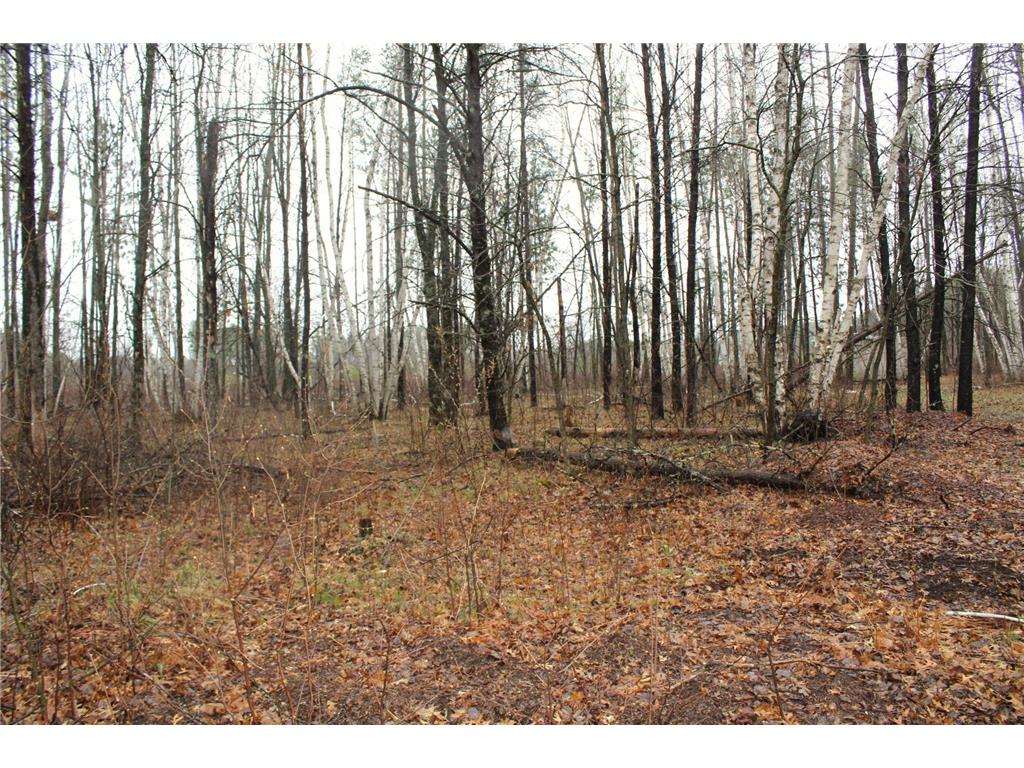 TBD 470th Street Staples MN 56479 7062379 image4