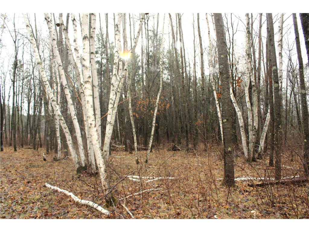 TBD 470th Street Staples MN 56479 7062379 image5