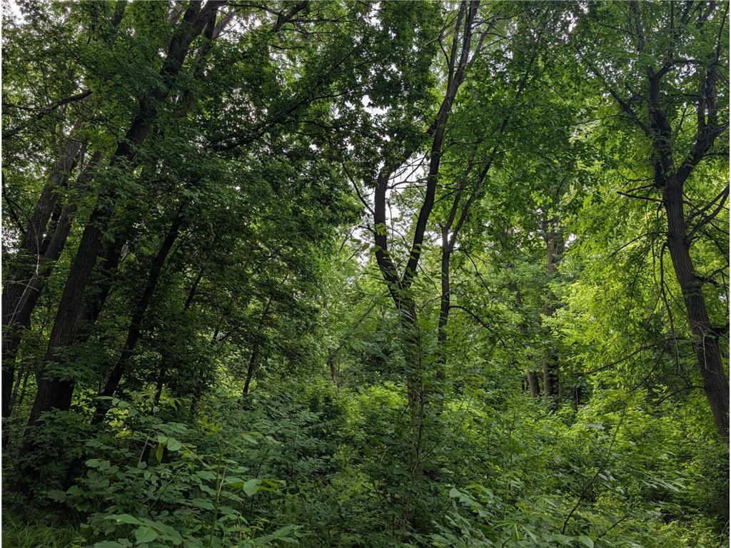 TBD 477th Avenue New York Mills MN 56567 - Rush Lake 7096917 image4