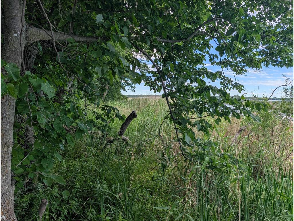 TBD 477th Avenue New York Mills MN 56567 - Rush Lake 7096917 image8