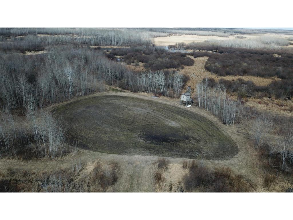 TBD 480th Ave Grygla MN 56727 7067548 image1