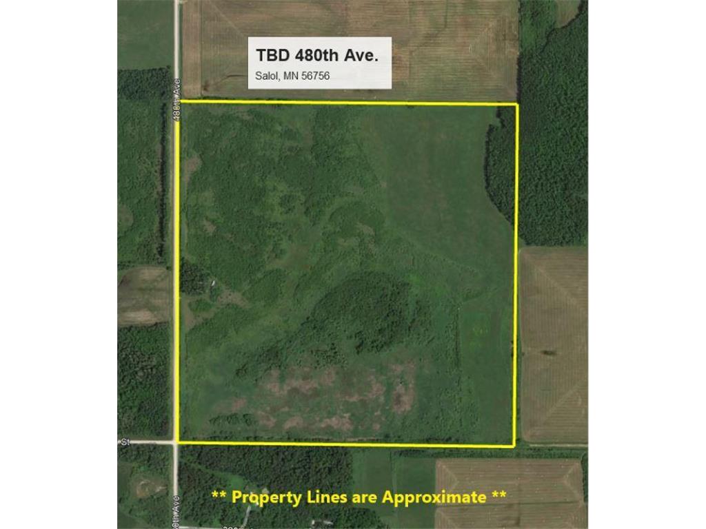 TBD 480th Avenue Salol MN 56756 6425128 image1