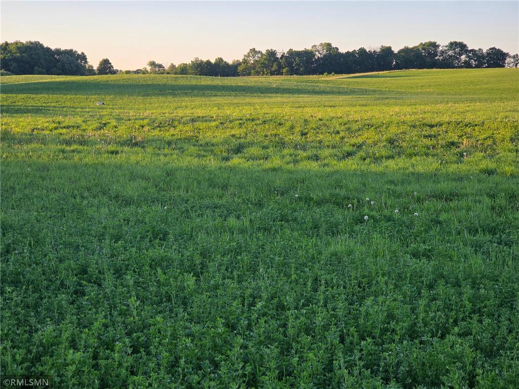 18XXX 484th Lane Waterville Twp MN 56096 7097489 image2