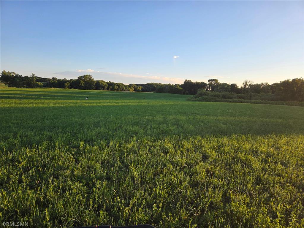 18XXX 484th Lane Waterville Twp MN 56096 7097489 image4