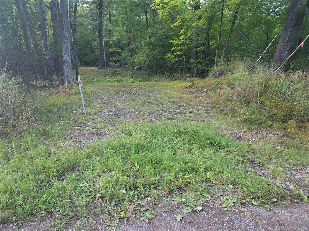 TBD 484th Street Shamrock Twp MN 55760 6786401 image2